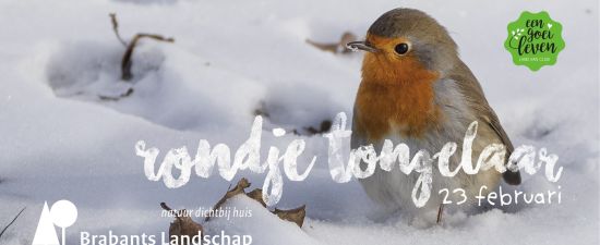 Winterwandeling