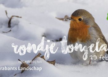 Winterwandeling