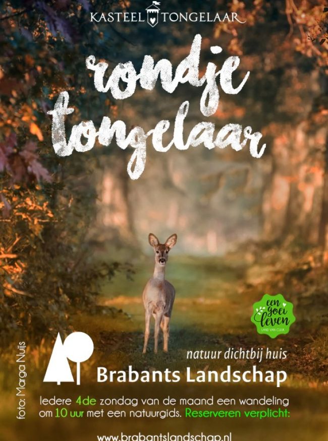 Rondje Tongelaar