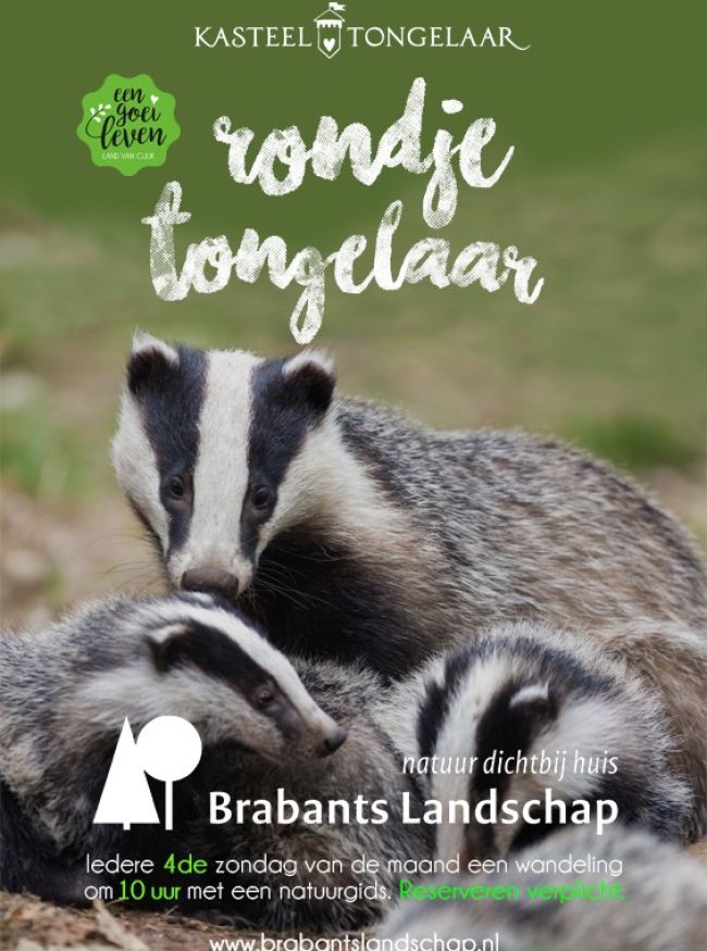 Rondje Tongelaar