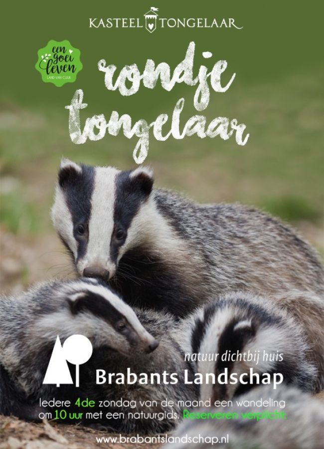 Rondje Tongelaar