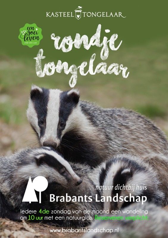 Rondje Tongelaar