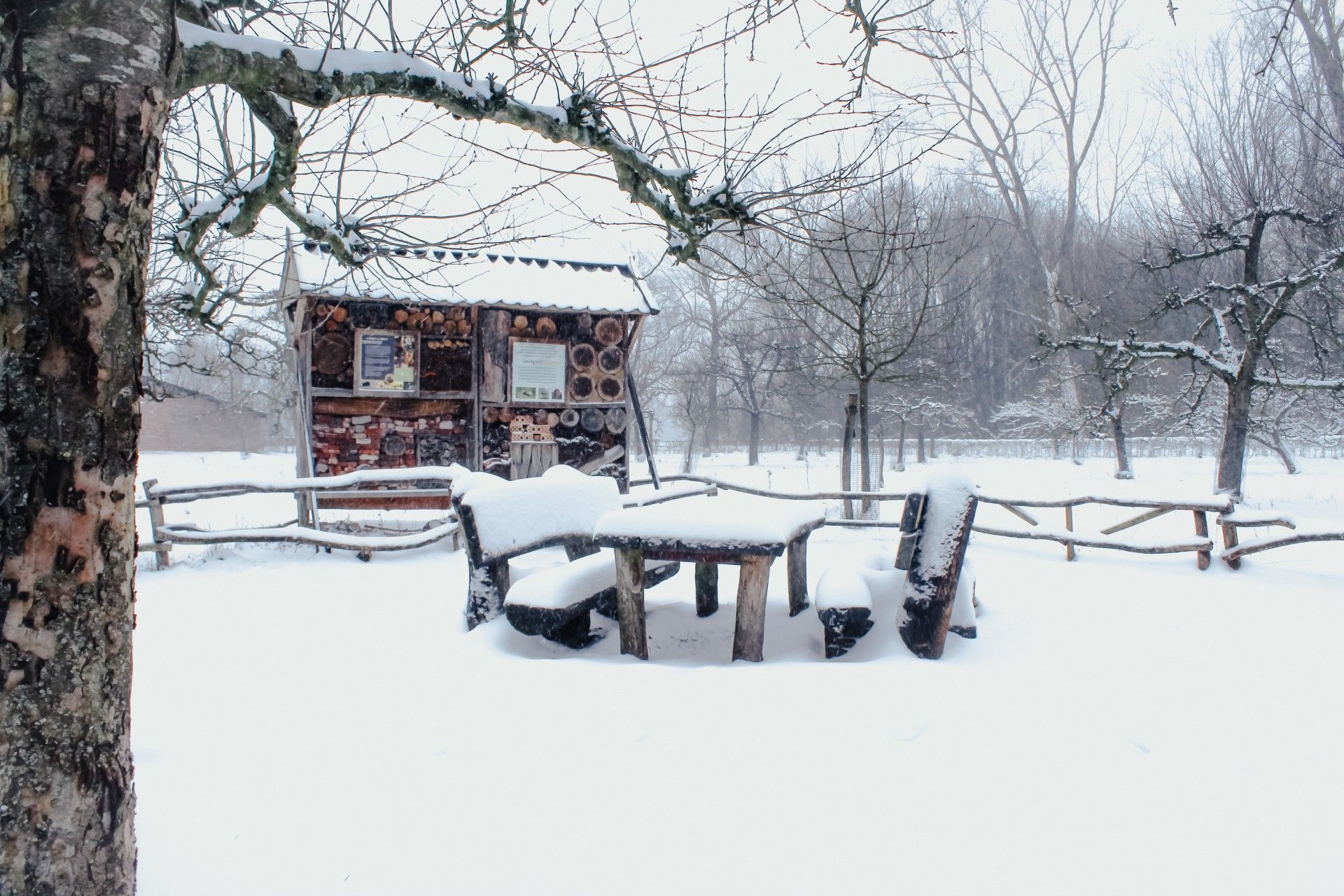 kasteel_tongelaar_sneeuw2