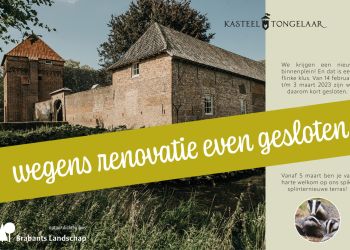 renovatie binnenplein
